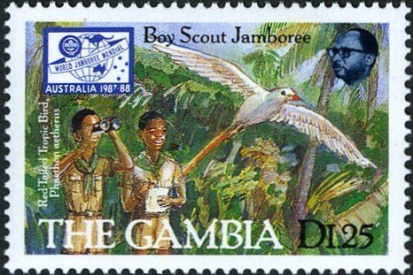 Red-tailed Tropic Bird (Phaethon aethereus), see Description