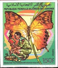 Forest Pearl Charaxes (Charaxes fulvescens)