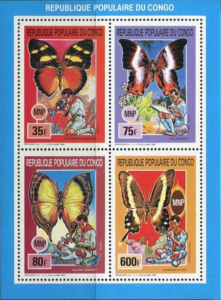 Butterflies