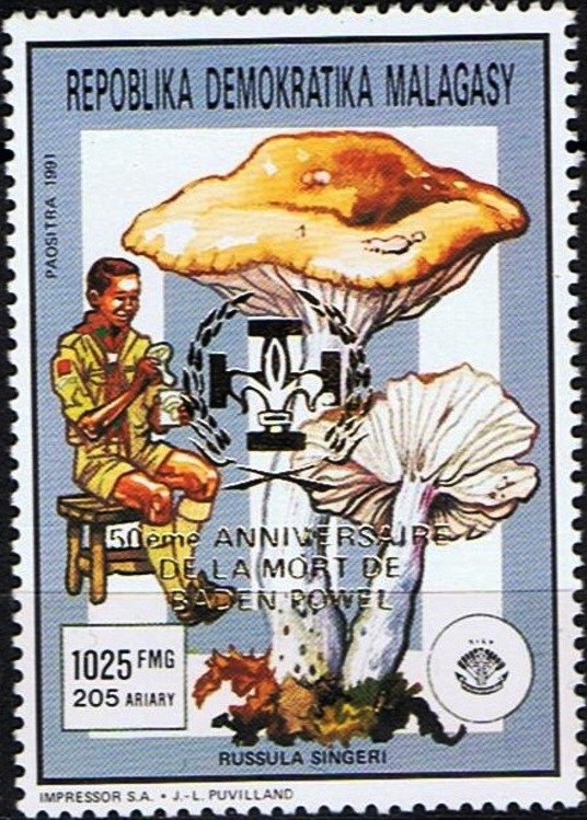 Russula singeri