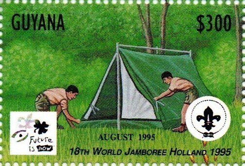 Scouts putting up tent