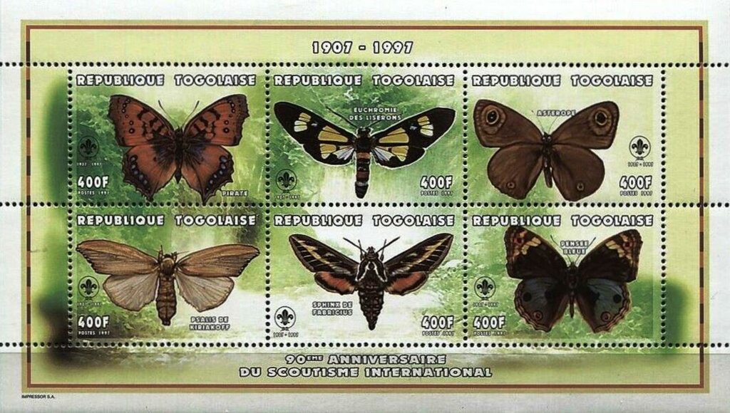Moths and Butterflies