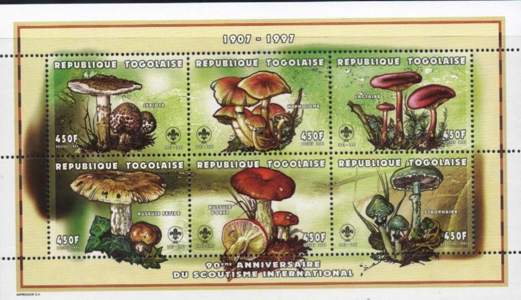 Mushrooms