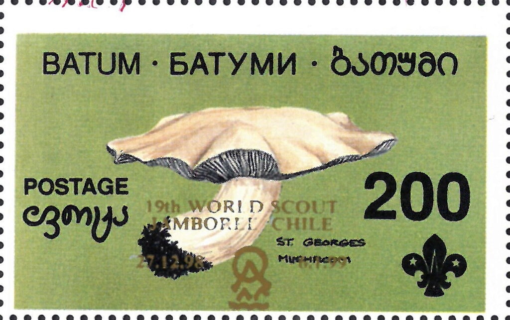 Mushrooms - "19th World Scout Jamboree Chile"