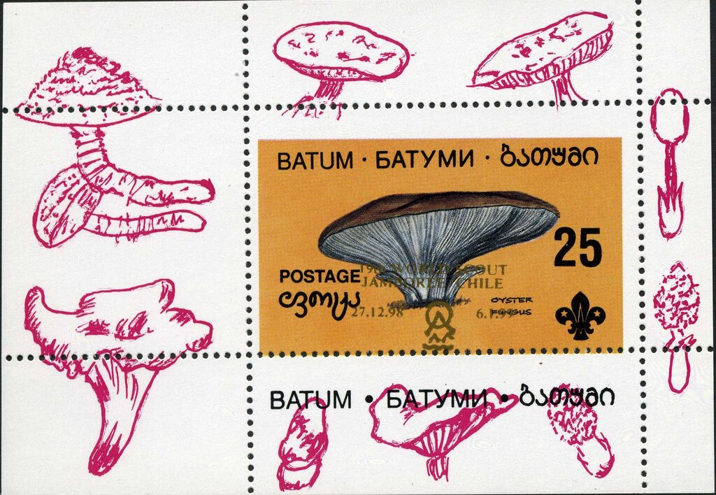 Mushrooms - "19th World Scout Jamboree Chile"