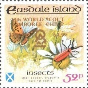 Butterfly, Insects - gold overprint