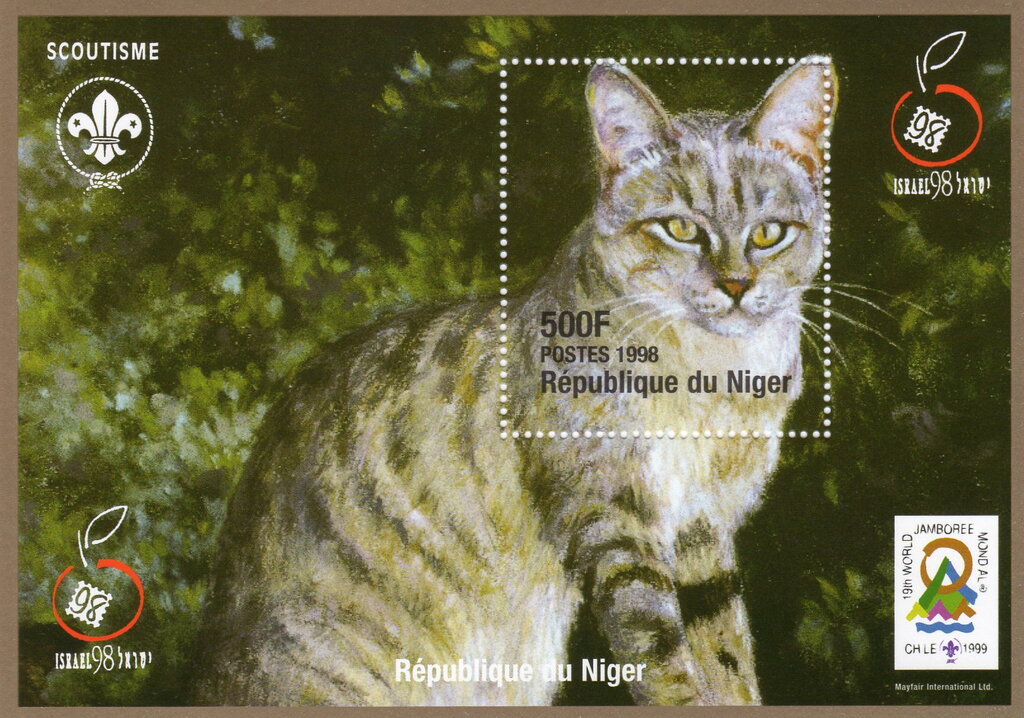 Wildcat Striped Cat