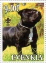Staffordshire Bull Terrier