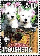 West Highland Terrier