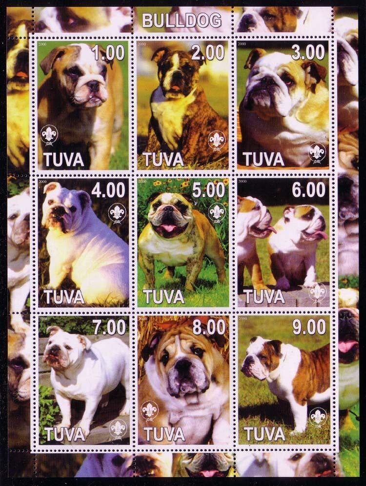 Dogs - Bulldog