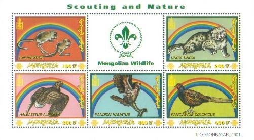 Scouting and Nature