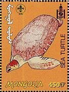 Sea ​​Turtle