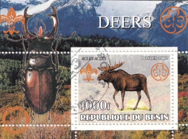 Deers