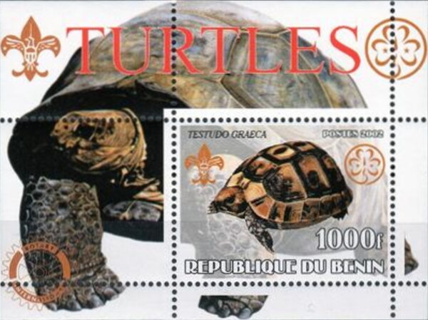 Turtles