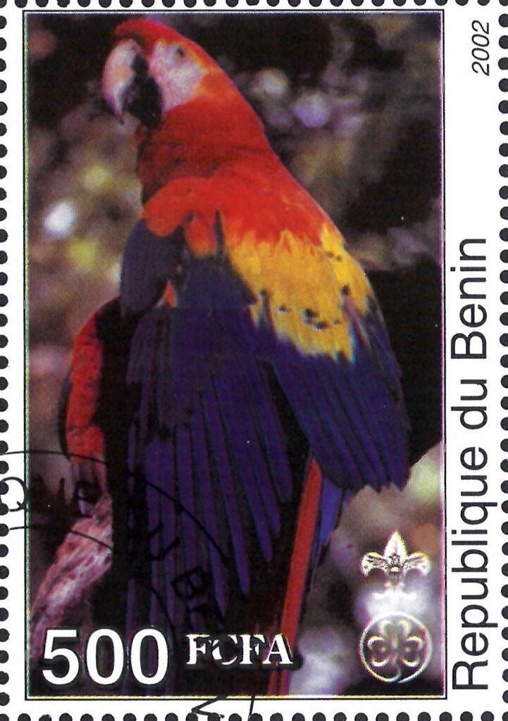 Parrots