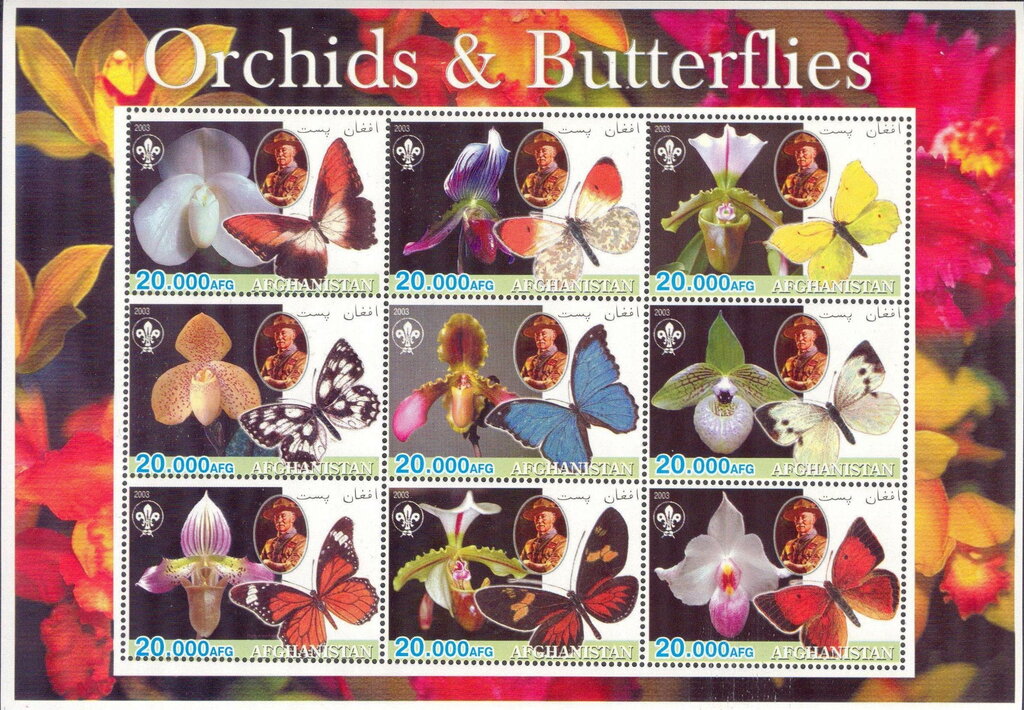 Orchids & Butterflies
