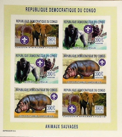 Wild Animals & Scouting