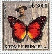 Red Lacewing (Cethosia biblis)