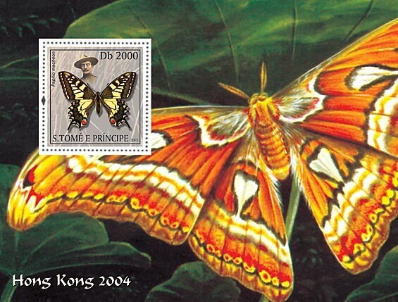 Old World Swallowtail (Papilio machaon)