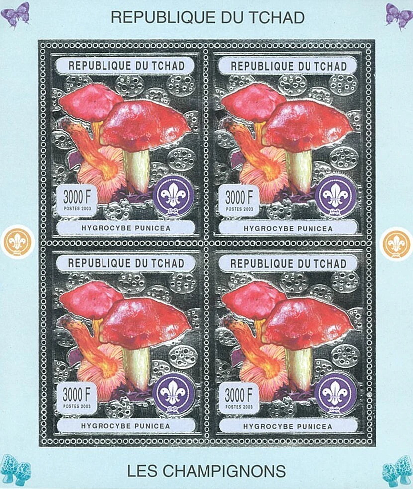 Hygrocybe punicea