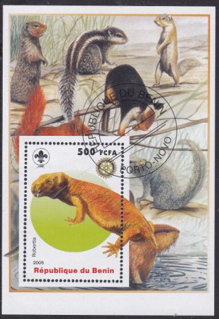 Dinosaurs Robertia