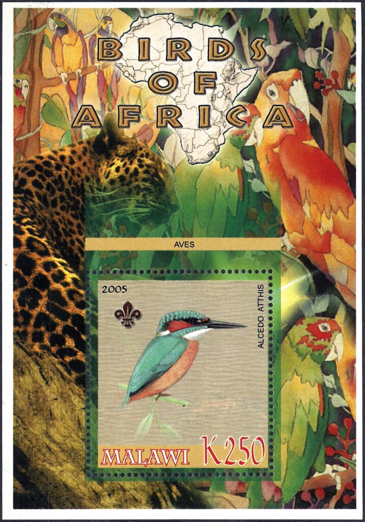 Birds of Africa