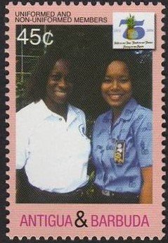 Uniformed and Non-uniformed Members