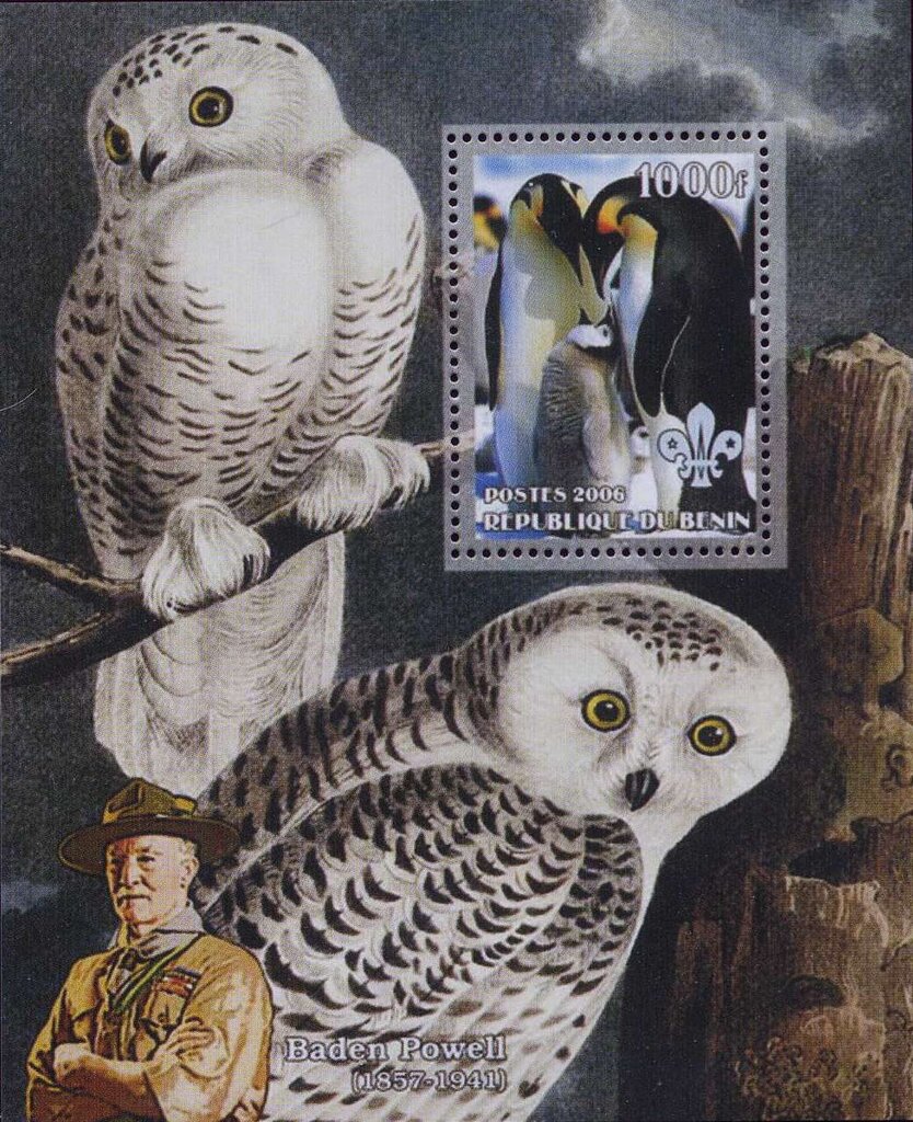 Penguins and Owls