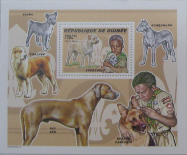 Scouts and dogs