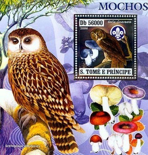 Owls and mushrooms (silver)