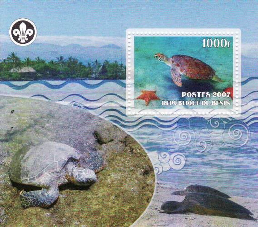 Turtles