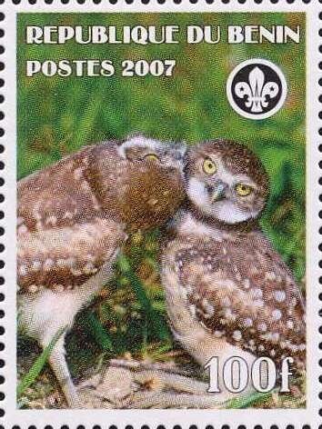 Owls
