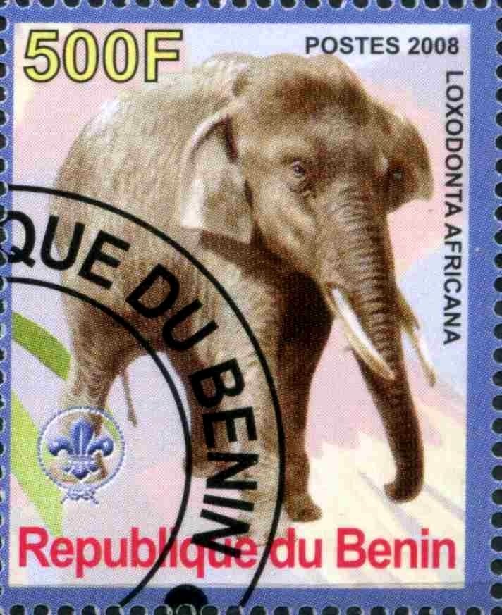 Loxodonta africana