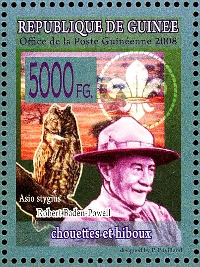 Stygian Owl (Asio stygius), Robert Baden-Powell