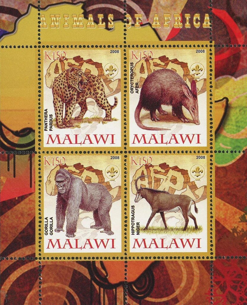 Animals of Africa