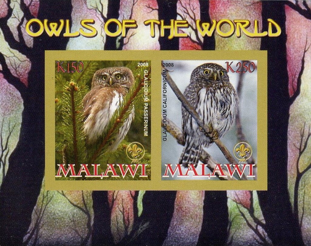 Owls of the World