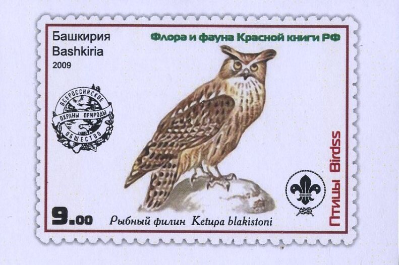 Blakiston's Fish Owl (Ketupa blakistoni)