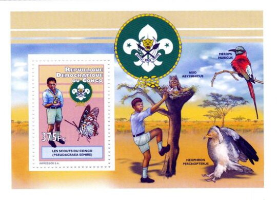 Scout, butterfly and birds