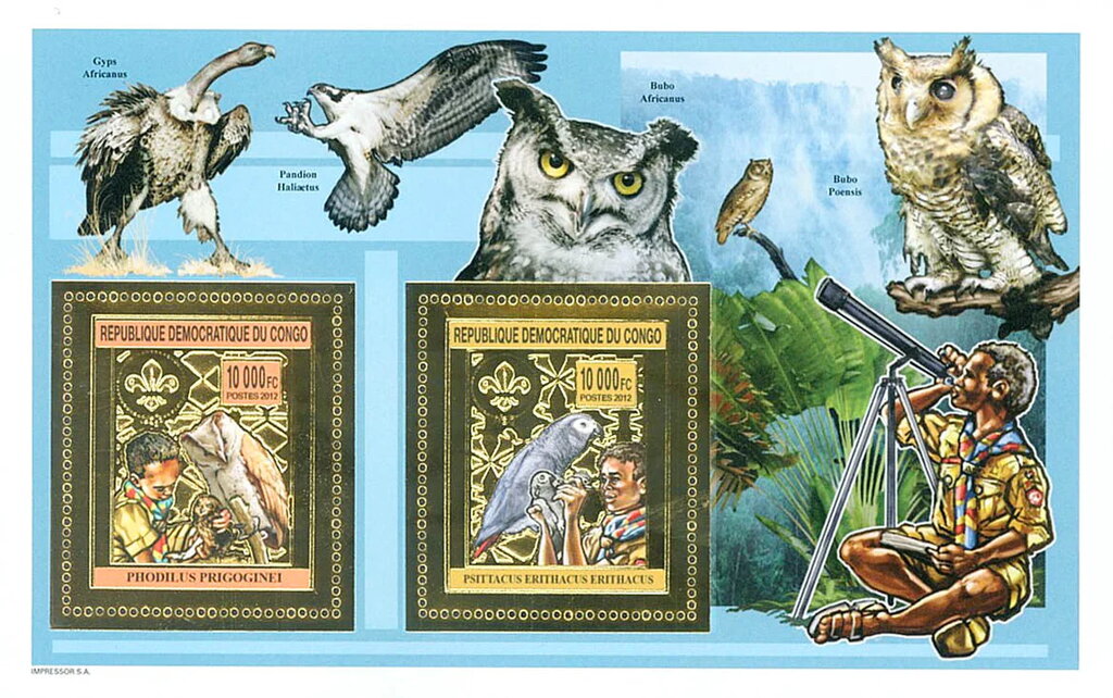Scout and Birds