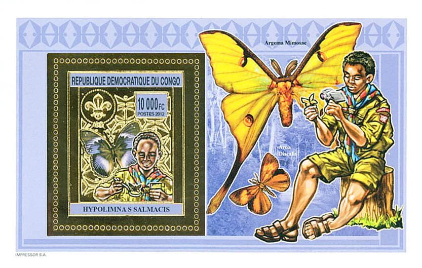 Scouts and butterflies