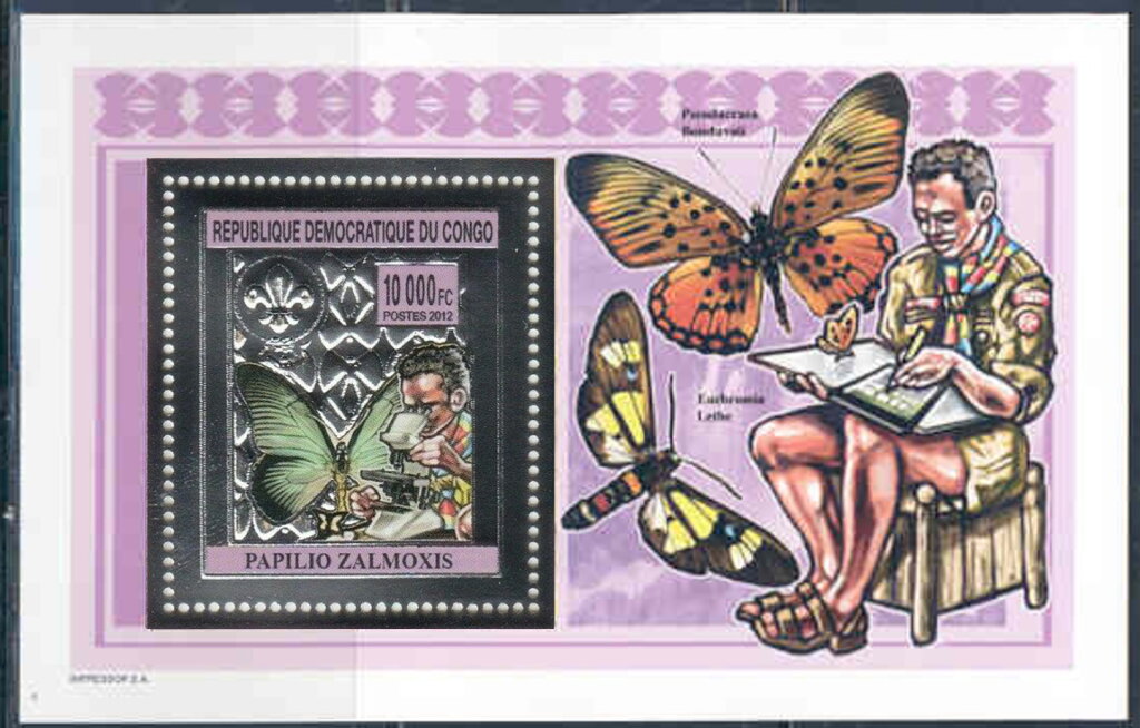 Scouts and butterflies