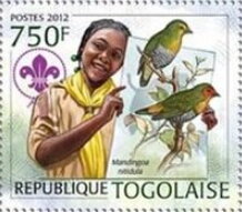 African Scouts