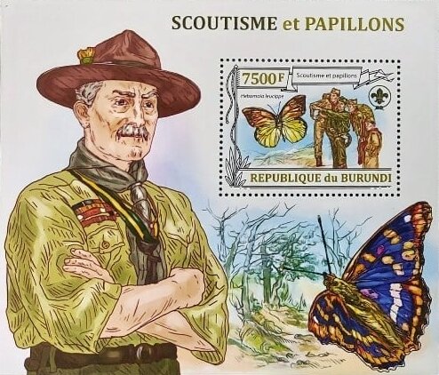 Scouts and Butterflies - Brimstone Wing Butterfly