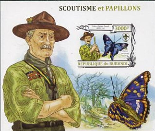 Scouts and Butterflies