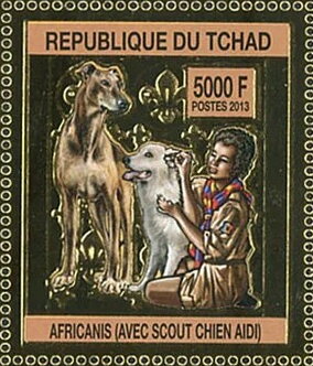 Africanis & Aidi