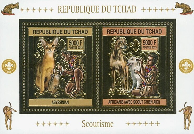 Scouts and Pets - Gold