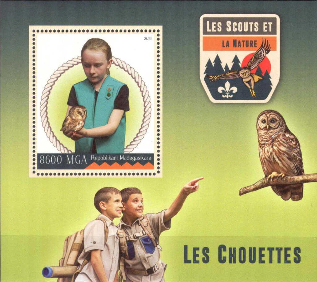 Scouting and Owls