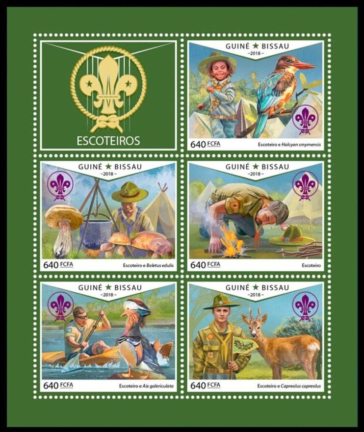 Scouts