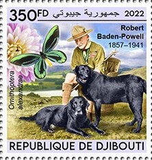 Robert Baden-Powell 1857–1941, Ornithoptera alexandrae