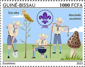 Scouts, Barn owl (Tyto alba), Yellow morel (Morchella escule